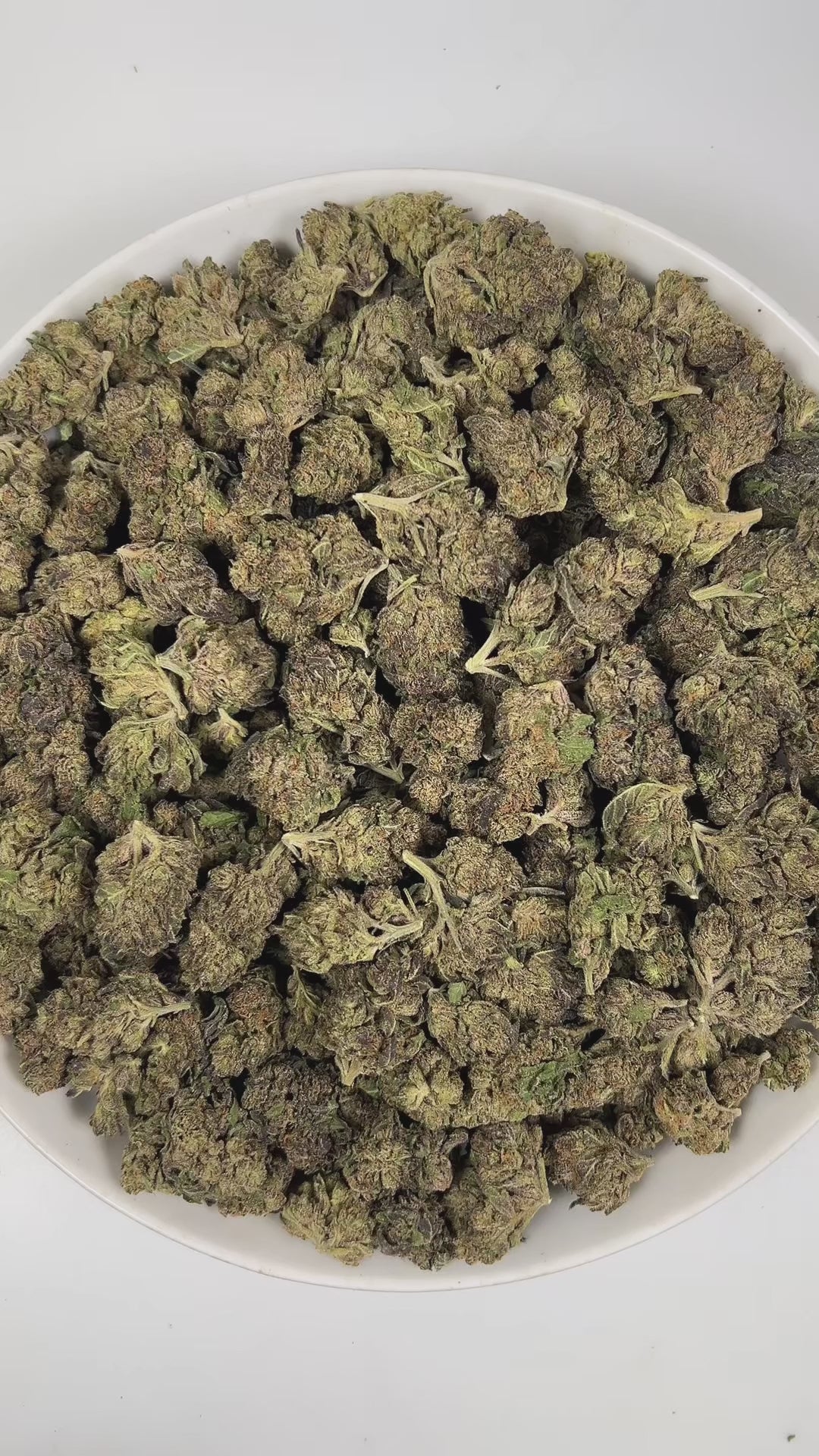 PUFFY Velato is a balanced hybrid THCa strain, originating from the fusion of Gelato 33 with VS1. The aroma is a captivating blend of gassy, herbal, and spicy notes, creating a rich and intriguing scent profile. Visually, the buds are compact and frosty, showcasing green and purple hues with bright orange pistils and a thick coating of sparkling trichomes. Consumers often report feeling deeply relaxed, uplifted with a sense of happiness, and wrapped in a warm wave of euphoric bliss that gently elevates both
