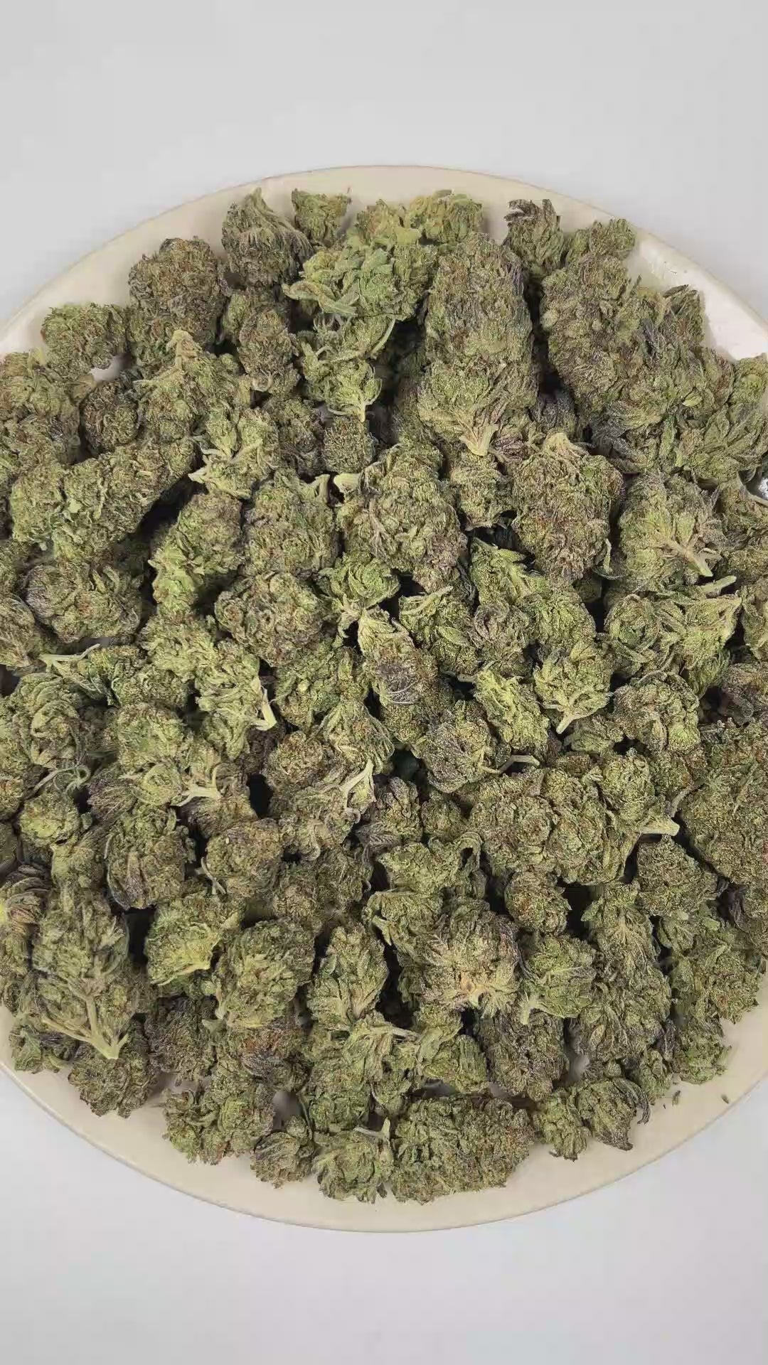 PUFFY Blue Burst is a balanced hybrid THCa strain rooted in the exceptional lineage of Purple Thai and Afghan. The aroma opens with fresh herbal notes, layered with warm spices and grounded by rich woody undertones. Visually, dense forest green buds with purple hues and fiery orange pistils are coated in sticky trichomes. Consumers often report a euphoric sense of well-being paired with focused mental clarity, a calming mindset, and deeply relaxing physical effects. 
