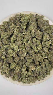 PUFFY Blue Burst is a balanced hybrid THCa strain rooted in the exceptional lineage of Purple Thai and Afghan. The aroma opens with fresh herbal notes, layered with warm spices and grounded by rich woody undertones. Visually, dense forest green buds with purple hues and fiery orange pistils are coated in sticky trichomes. Consumers often report a euphoric sense of well-being paired with focused mental clarity, a calming mindset, and deeply relaxing physical effects. 
