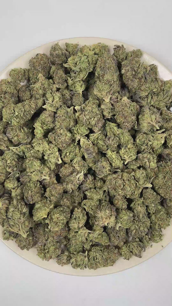 PUFFY Blue Burst is a balanced hybrid THCa strain rooted in the exceptional lineage of Purple Thai and Afghan. The aroma opens with fresh herbal notes, layered with warm spices and grounded by rich woody undertones. Visually, dense forest green buds with purple hues and fiery orange pistils are coated in sticky trichomes. Consumers often report a euphoric sense of well-being paired with focused mental clarity, a calming mindset, and deeply relaxing physical effects. 
