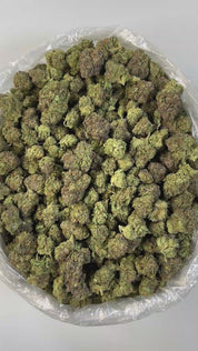 PUFFY Birthday Cake is an indica-dominant hybrid THCa strain created from Girl Scout Cookies (GSC) × Cherry Pie. The aroma delivers a rich, creamy scent layered with warm, doughy notes reminiscent of fresh-baked pastries. Visually, the buds Dense, chunky buds in forest green with purple hues are coated in frosty white trichomes and accented by bright orange pistils throughout. Consumers often report Euphoric and uplifting at first, this strain delivers deep physical relaxation with a sedative body high in l