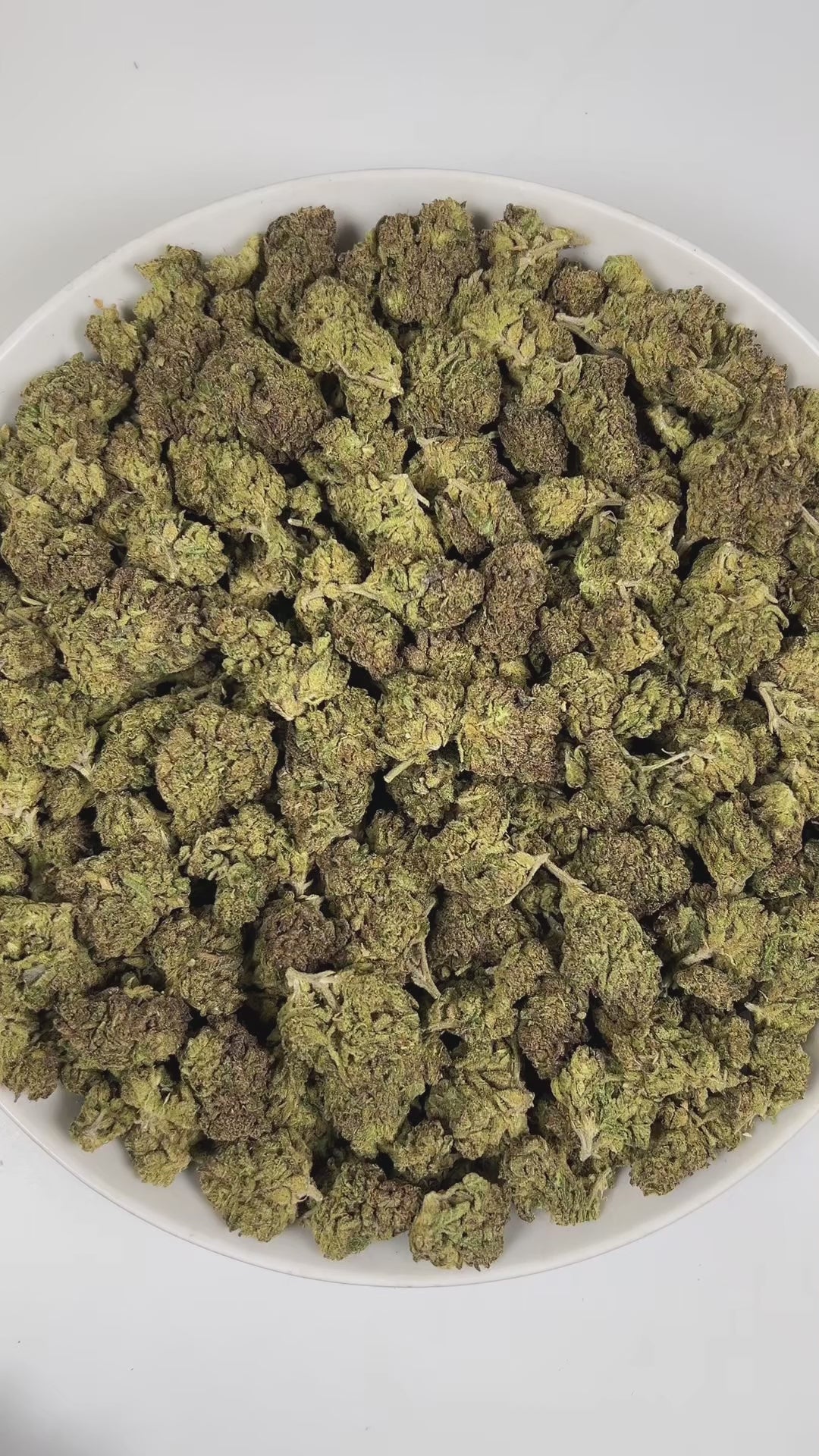 PUFFY Wedding Crasher is a balanced hybrid THCa strain, born from the flavorful union of Wedding Cake × Purple Punch. The aroma is a captivating blend of herbal, smoky, and gassy notes, creating a rich and distinctive scent profile. Visually, the buds are tightly formed, displaying green and purple hues highlighted by bright orange pistils and a thick coating of sparkling trichomes that create a frosty finish. Consumers often report feeling euphoric, focused, and deeply relaxed, accompanied by a happy, upli