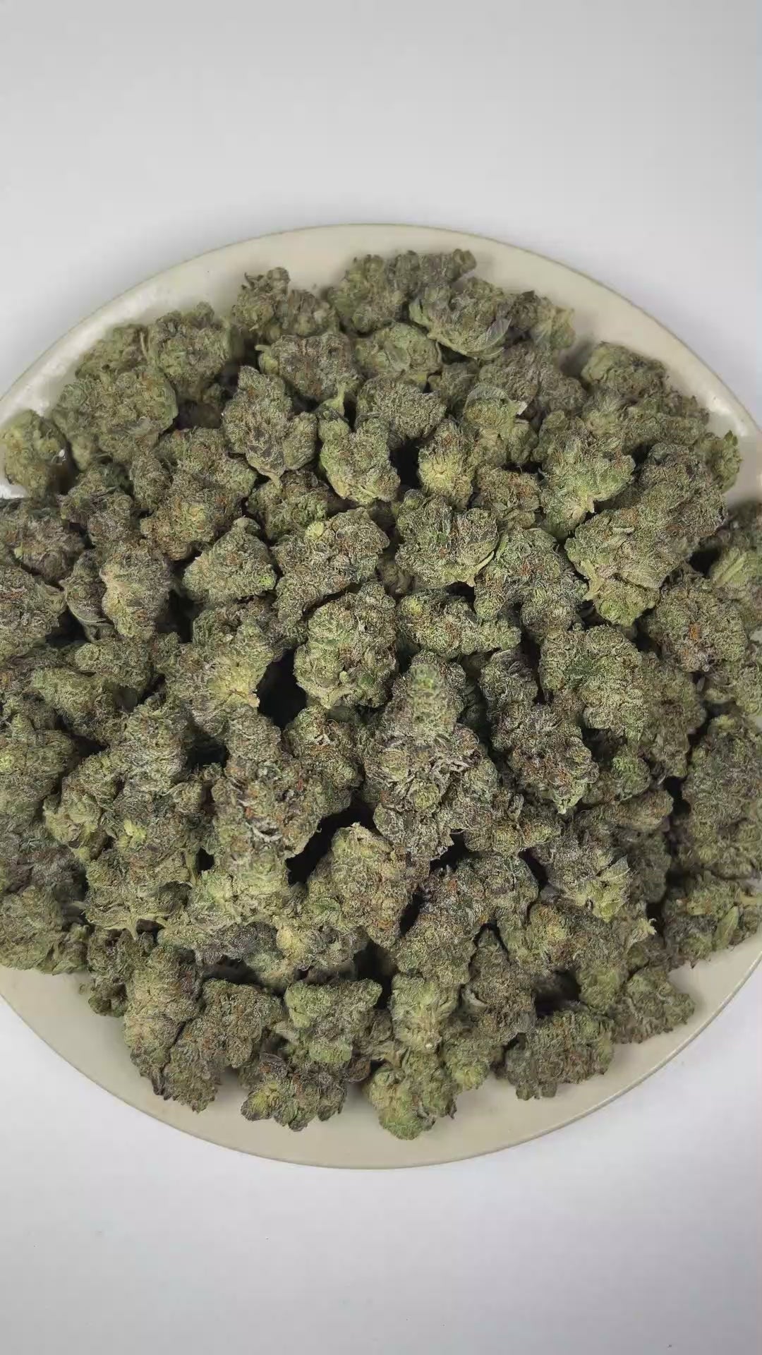 PUFFY Girl Scout Cookies is an Indica-dominant hybrid THCa strain born from the legendary cross of OG Kush and Durban Poison. TThe aroma blends rich, doughy notes with a pungent scent and warm, spicy undertones. Visually, dense forest green buds with purple hues and fiery orange pistils are coated in sticky trichomes. Consumers often report a euphoric high that uplifts the mood, promoting a soothing sense of calm, easing tension, and encouraging a focused mental state.   