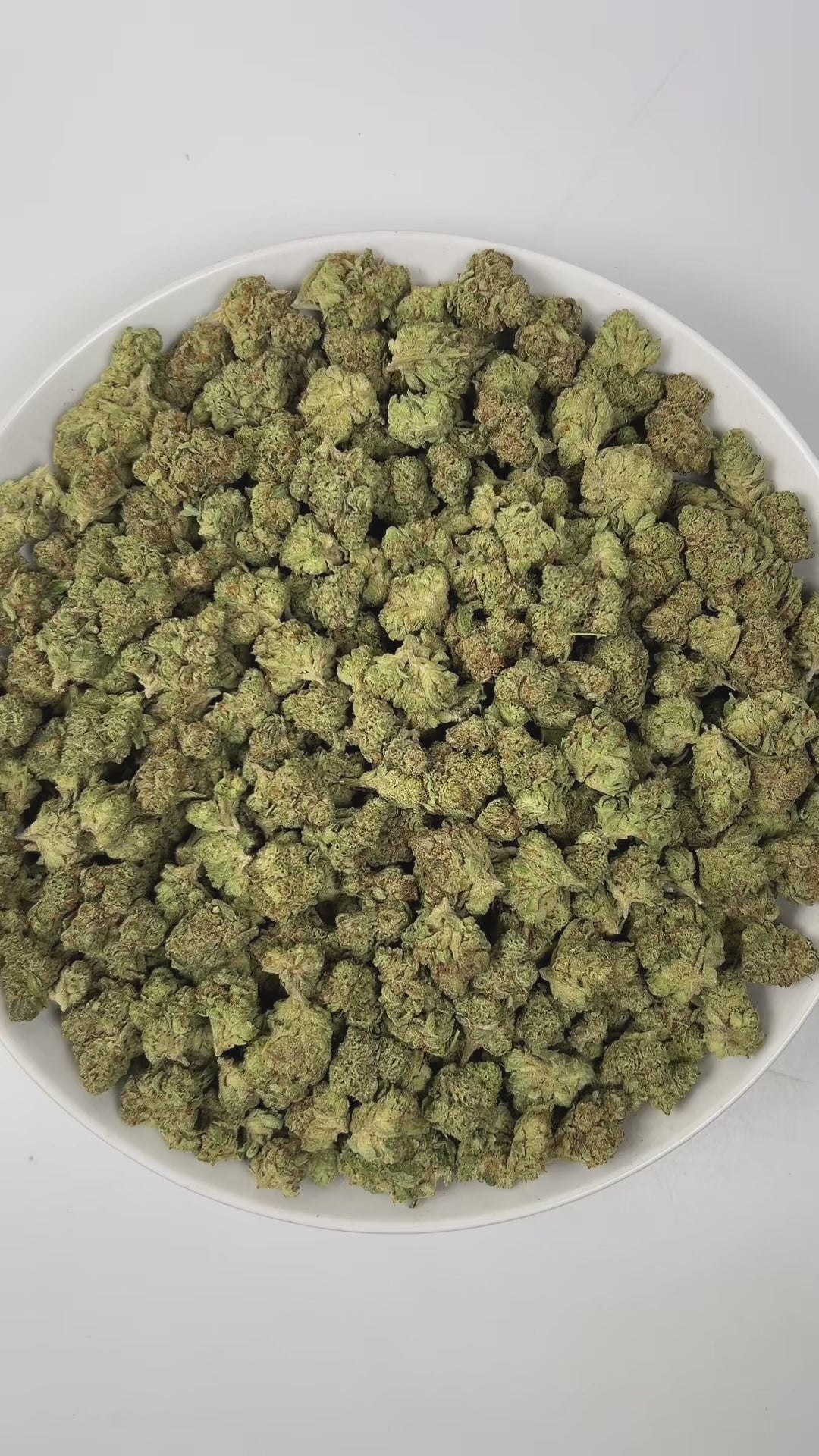 PUFFY Gelonade is a sativa-dominant hybrid THCa strain created by crossing Lemon Tree with Gelato #41. The aroma is a vibrant mix of ripe strawberries, intertwined with gassy undertones and delicate floral notes, creating a sweet, tangy, and slightly intoxicating scent profile. Visually, the buds have a dense, grape-like structure, showcasing lime-green tones with purple hues and orange pistils, all coated in glistening trichomes. Consumers often report a bright, uplifting experience with a clear-headed cer