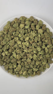 PUFFY Gelonade is a sativa-dominant hybrid THCa strain created by crossing Lemon Tree with Gelato #41. The aroma is a vibrant mix of ripe strawberries, intertwined with gassy undertones and delicate floral notes, creating a sweet, tangy, and slightly intoxicating scent profile. Visually, the buds have a dense, grape-like structure, showcasing lime-green tones with purple hues and orange pistils, all coated in glistening trichomes. Consumers often report a bright, uplifting experience with a clear-headed cer