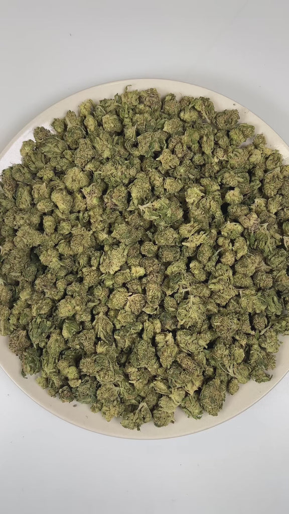 PUFFY Royal Gas (smalls) is a balanced hybrid THCa strain bred through the premium union of Royal and Afghan. The aroma is a bold and pungent blend, combining sharp skunk notes with a hint of savory onions for a striking and memorable scent. Visually, dense deep forest green buds with purple hues and fiery orange pistils are coated in sticky trichomes. Consumers often report a euphoric and deeply relaxing experience, accompanied by a calm yet slightly clear-headed mental state that allows them to remain foc