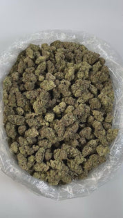 PUFFY Garanimals is a potent Indica-dominant THCa strain, bred from the flavorful cross of Grape Pie and Animal Cookies, known for its rich effects and bold genetics. The aroma bursts with sweet, candy-like notes layered over a sharp undertone of fresh pine creating a nostalgic yet invigorating scent profile that’s both playful and grounding. The flavor mirrors the aroma, delivering a smooth blend of sugary candy and crisp pine on the exhale. Visually, the buds are fluffy and spade-shaped with dark green an