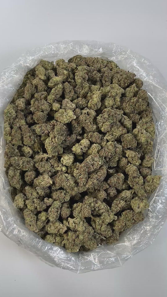 PUFFY Garanimals is a potent Indica-dominant THCa strain, bred from the flavorful cross of Grape Pie and Animal Cookies, known for its rich effects and bold genetics. The aroma bursts with sweet, candy-like notes layered over a sharp undertone of fresh pine creating a nostalgic yet invigorating scent profile that’s both playful and grounding. The flavor mirrors the aroma, delivering a smooth blend of sugary candy and crisp pine on the exhale. Visually, the buds are fluffy and spade-shaped with dark green an
