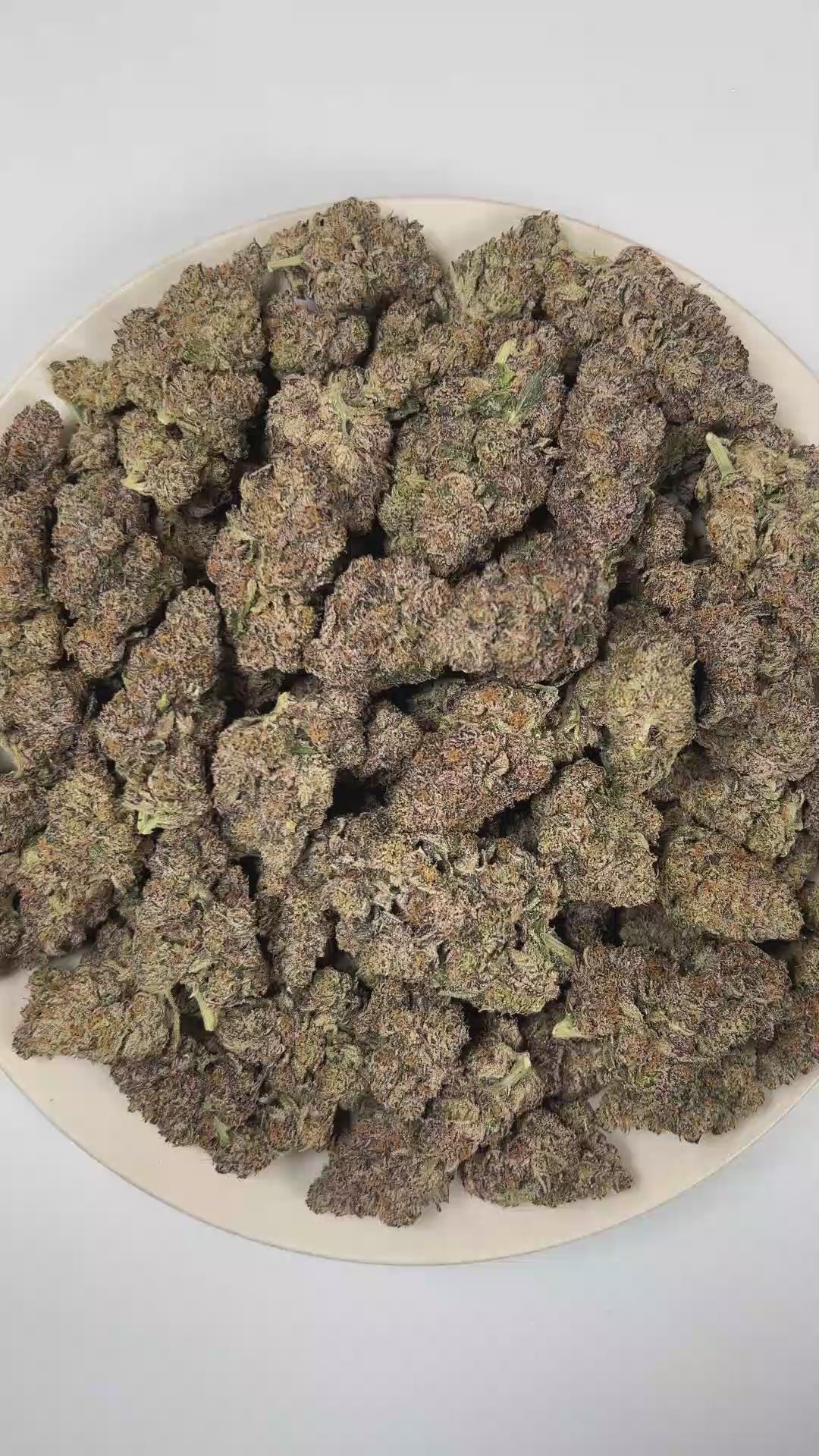 PUFFY Headstash is an indica-dominant hybrid THCa strain expertly assembled from the renowned genetics of GSC, Cherry Pie, KarmaRado OG, and Biker Kush. The aroma opens with a distinctive wet dog musk, layered with bright citrus and finished by a lively burst of zesty freshness. Visually, dense forest green buds with purple hues and fiery orange pistils are coated in sticky trichomes. Consumers often report a euphoric onset marked by uplifting cerebral effects, followed by a comforting body relaxation that 