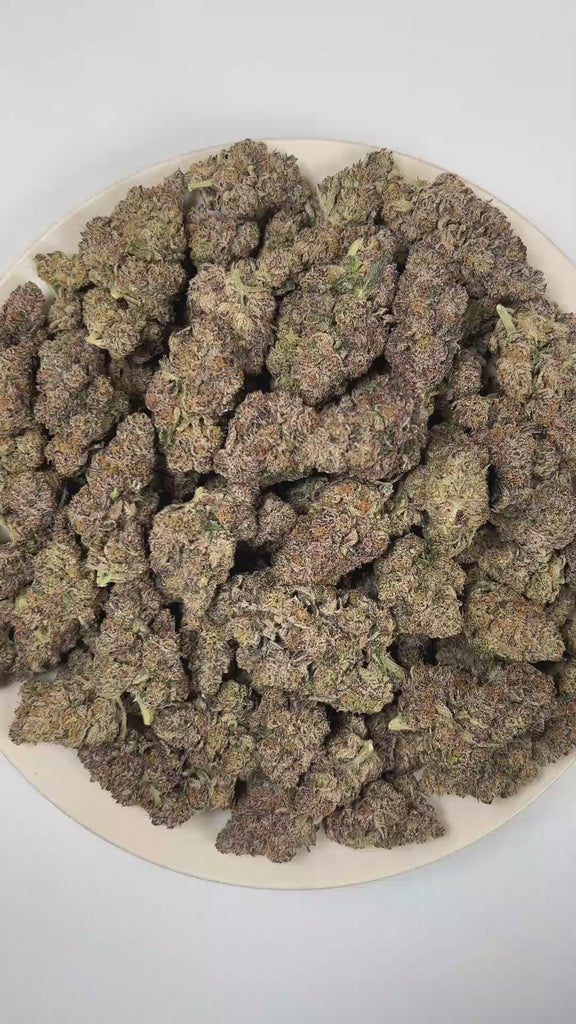 PUFFY Headstash is an indica-dominant hybrid THCa strain expertly assembled from the renowned genetics of GSC, Cherry Pie, KarmaRado OG, and Biker Kush. The aroma opens with a distinctive wet dog musk, layered with bright citrus and finished by a lively burst of zesty freshness. Visually, dense forest green buds with purple hues and fiery orange pistils are coated in sticky trichomes. Consumers often report a euphoric onset marked by uplifting cerebral effects, followed by a comforting body relaxation that 