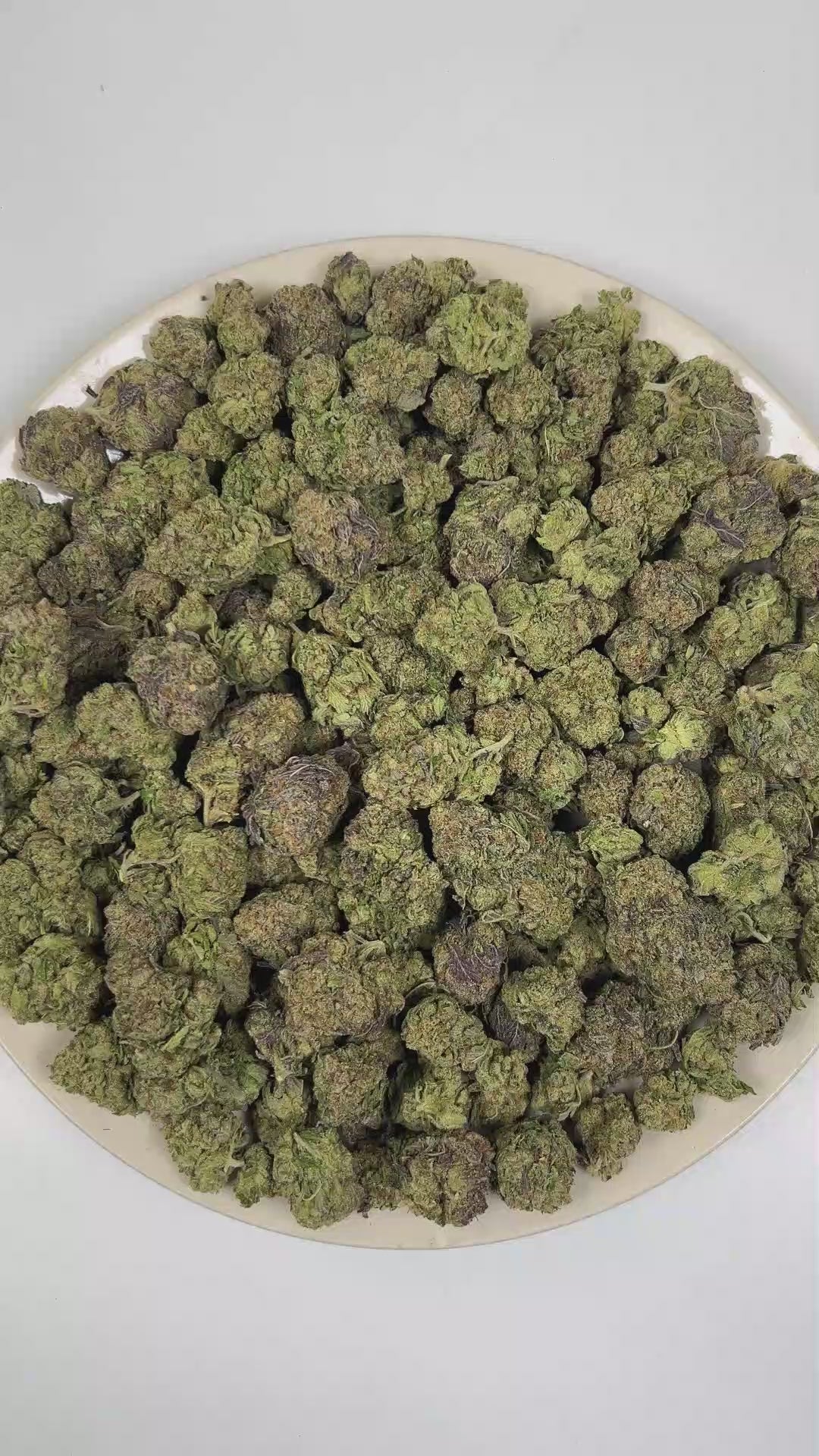 PUFFY Atomic Warhead is a balanced hybrid THCa strain crafted from the exceptional genetics of  Kaboom and Sour Pez. The aroma unfolds with a rich blend of fresh herbal notes, warm spices, and earthy woody undertones. Visually, dense forest green buds with purple hues and fiery orange pistils are coated in sticky trichomes. Consumers often report a euphoric and invigorating cerebral buzz that inspires creativity and sharp focus, gradually complemented by a soothing wave of body relaxation that promotes over