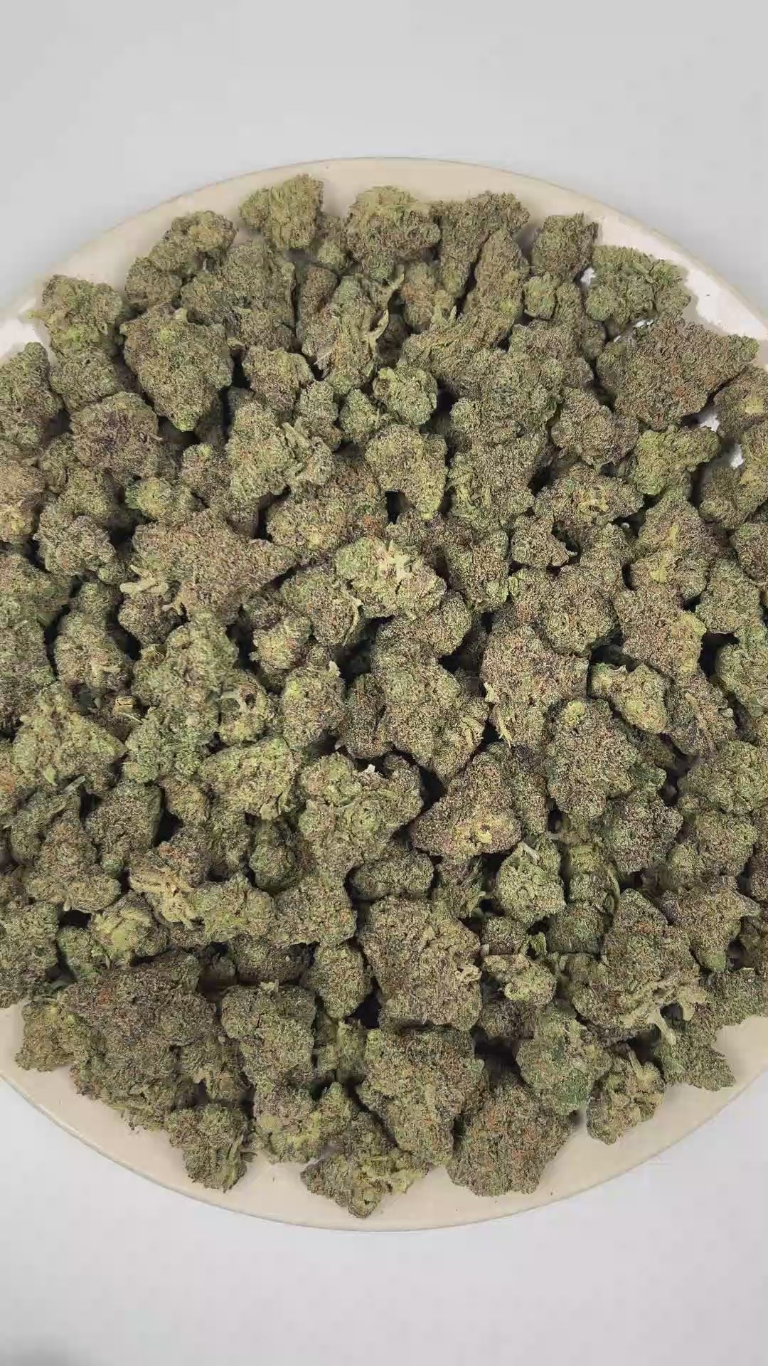 PUFFY Lime Haze is a pure sativa THCa strain crafted from the exceptional cross of Haze and Blue Lime Pie. The aroma opens with bright notes of fresh lime, layered with sharp chemical undertones and a bold diesel finish. Visually, dense forest green buds with purple hues and fiery orange pistils are coated in sticky trichomes. Consumers often report a euphoric, invigorating, and uplifting experience that enhances creativity and sharpens focus. 