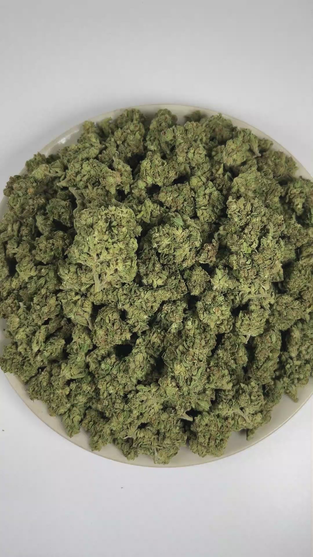 PUFFY Jack Herer is a sativa-dominant hybrid THCa strain, bred from a legendary three‑way genetic cross of Northern Lights #5, Shiva Skunk, and Haze. The aroma is a vibrant blend of citrus and zesty notes accented by a sharp chemical undertone. Visually, dense green buds with purple hues and fiery orange pistils are coated in sticky trichomes. Consumers often report euphoric, energetic, focused, and uplifting sensations, along with potential relief from stress and anxiety and a noticeable boost in creativit