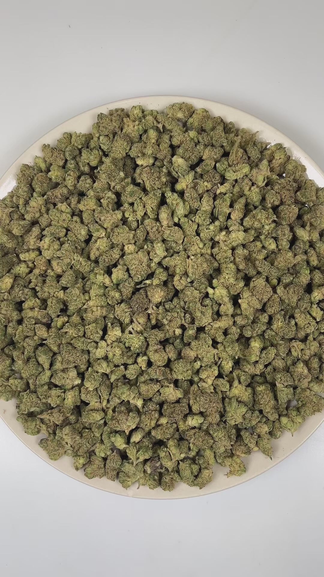 PUFFY Kandy Kush (smalls) is a balanced hybrid THCa strain formed by the classic fusion of OG Kush and Trainwreck. The aroma is a vibrant blend of sweet candy-like notes layered with zesty lime and a bold, gassy undertone. Visually, dense forest green buds with purple hues and fiery orange pistils are coated in sticky trichomes. Consumers often report an initial mild cerebral stimulation that quickly transitions into euphoric effects and a full-bodied physical sensation.