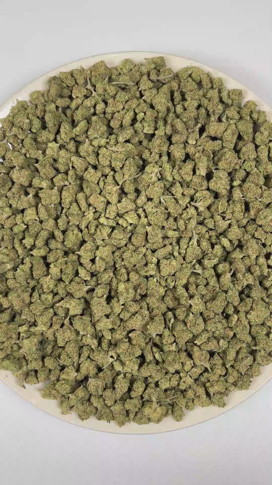 Blue Dream THCa Flower (Indoor) (Sativa Hybrid) – 3
