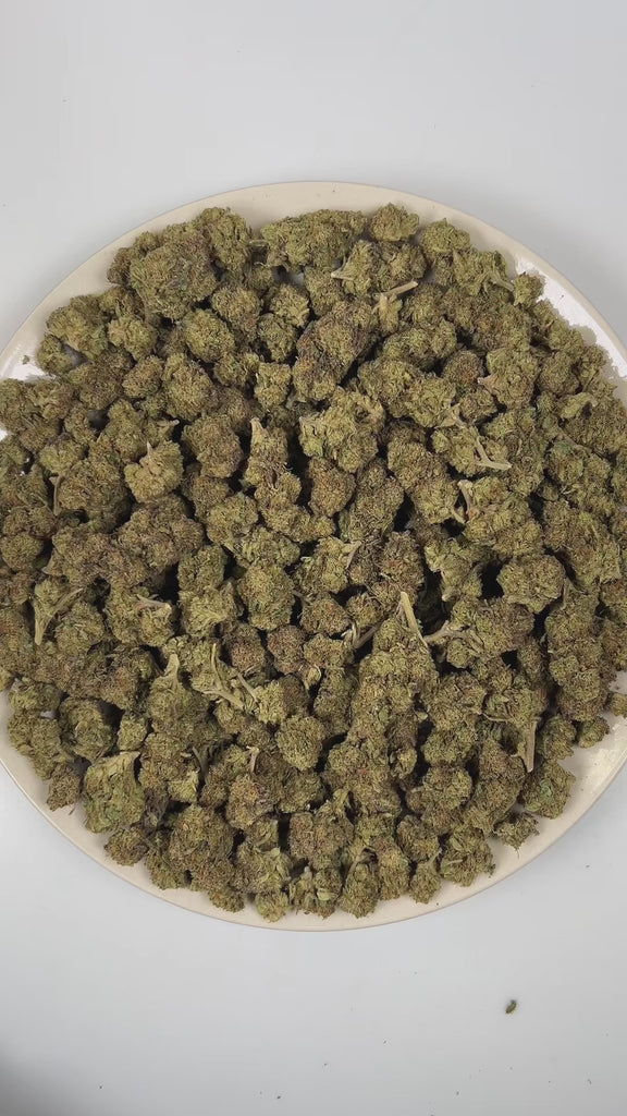 PUFFY Laughing Buddha is a sativa-dominant hybrid THCa strain derived from the storied genetics of Thai and Jamaican lineage. The aroma opens with a refined note of sage, followed by a rich herbal character and a calming tea-like finish. Visually, dense forest green buds with purple hues and fiery orange pistils are coated in sticky trichomes. Consumers often report a euphoric, energetic and uplifting experience accompanied by enhanced creativity and an inspired mental clarity. 