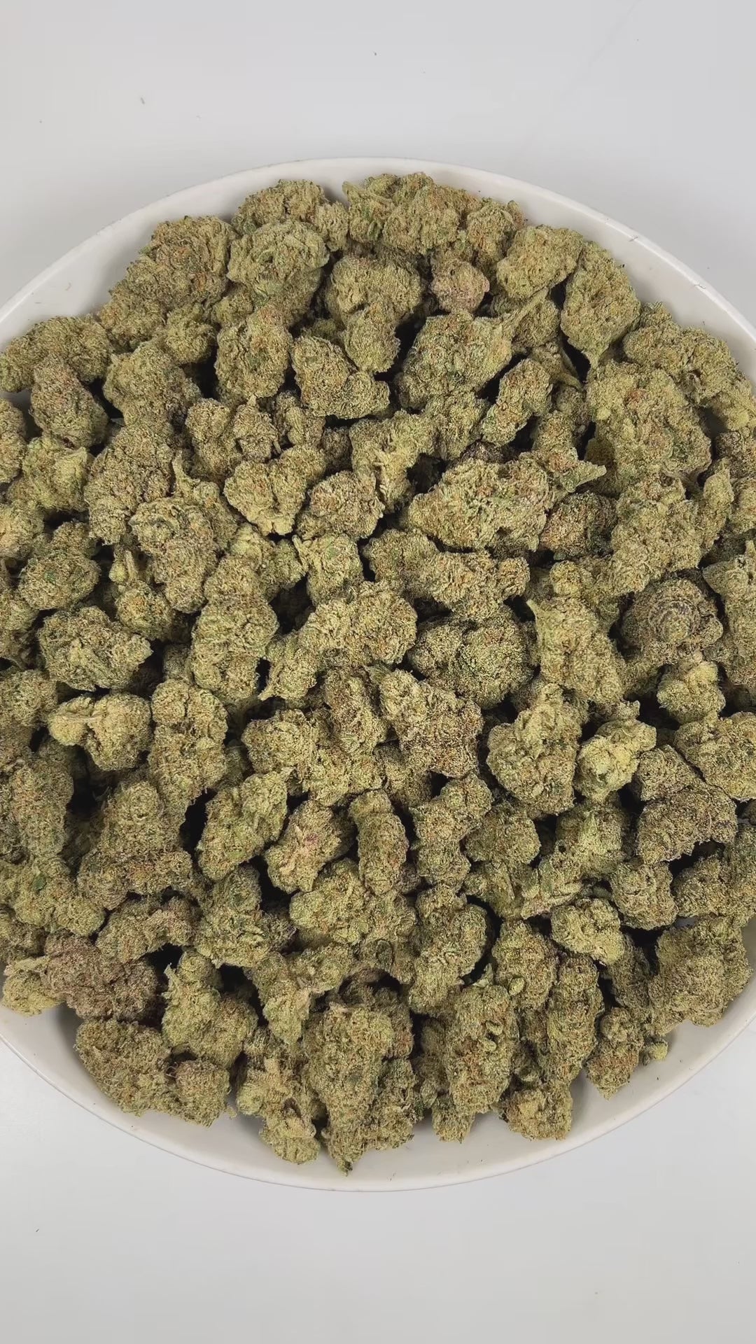 PUFFY Nimbus is a balanced hybrid THCa strain born from the potent cross between Dutchess and Purple Punch F2. The aroma is a bold and pungent blend of chemicals, diesel, and tar, giving it a strong, industrial edge. Visually, dense spring green buds with hints of purple, bright orange pistils, and a thick coating of sparkling trichomes. Consumers often report a euphoric experience that heightens focus and creativity while boosting mood and motivation. 