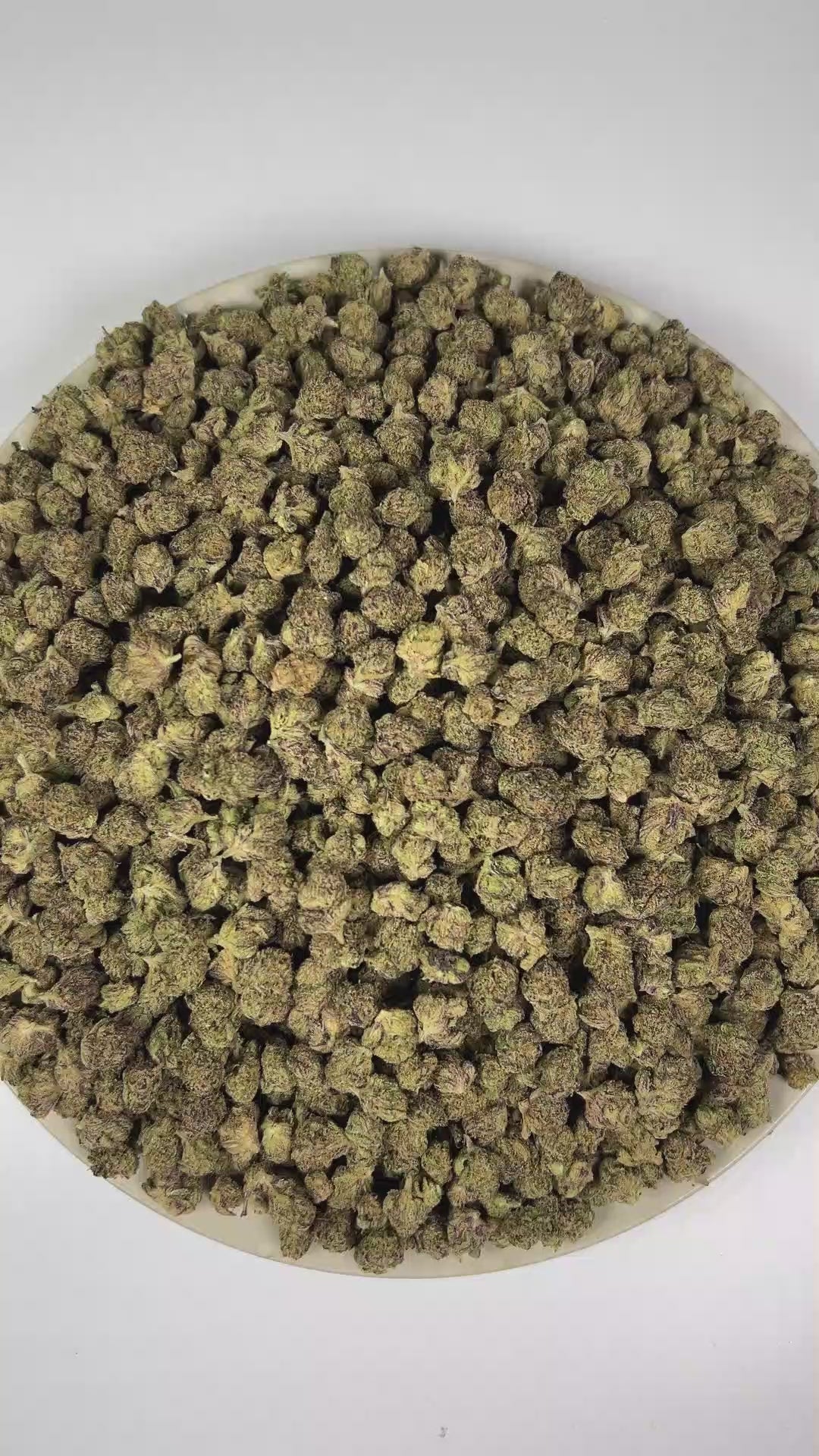 PUFFY Hi Chew (smalls) is an indica-dominant hybrid THCa strain born through the exceptional pairing of Old Time Indiana Bubble Gum and MAC 1. The aroma blends zesty citrus notes with sweet, fruity undertones and a pungent fuel-like finish. Visually, dense forest green buds with purple hues and fiery orange pistils are coated in sticky trichomes. Consumers often report euphoric and uplifting effects accompanied by a soothing sense of relaxation.