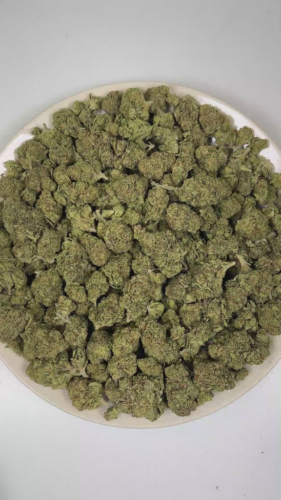 PUFFY Lemon Drop is a sativa-dominant hybrid THCa strain, emerging from the renowned pairing of Lemon Skunk and Sour Diesel. The aroma is a vibrant fusion of bright lemon zest, sharp fuel undertones, and sweet candy-like notes. Visually, dense forest green buds with purple hues and fiery orange pistils are coated in sticky trichomes. Consumers often report a euphoric, elevated mood accompanied by enhanced focus and mental clarity, as well as increased creativity and motivation. 