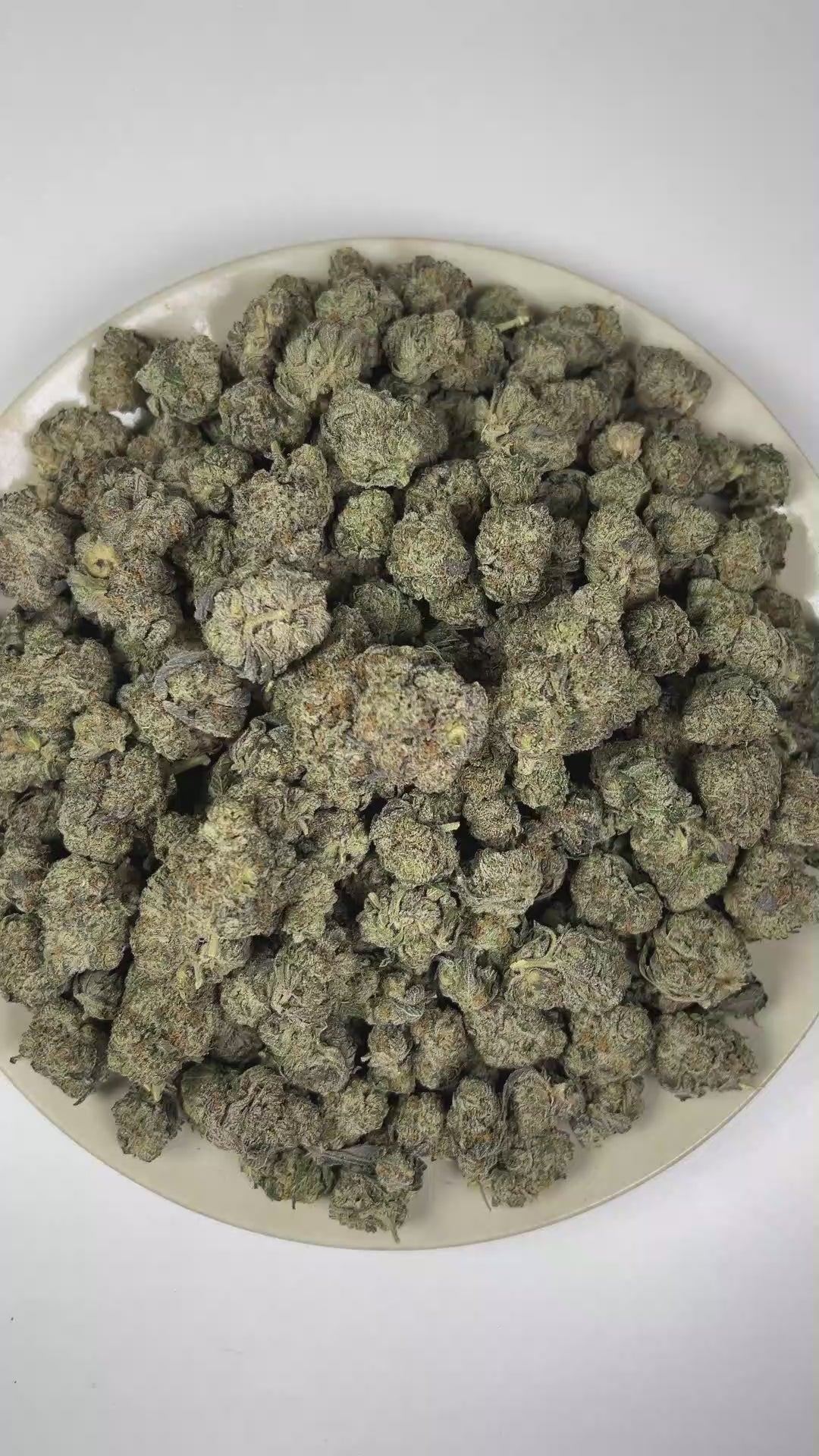 PUFFY Octane Mintz is an indica-dominant hybrid THCa strain resulting from a unique blend of Sunset Octane and Wedding Cake. The aroma features a pungent fuel-like scent complemented by refreshing mint notes and a distinct gassy undertone. Visually, dense forest green buds with purple hues and fiery orange pistils are coated in sticky trichomes. Consumers often report feeling euphoric and uplifted, followed by a deep sense of relaxation and calm that leaves them feeling at ease and content.