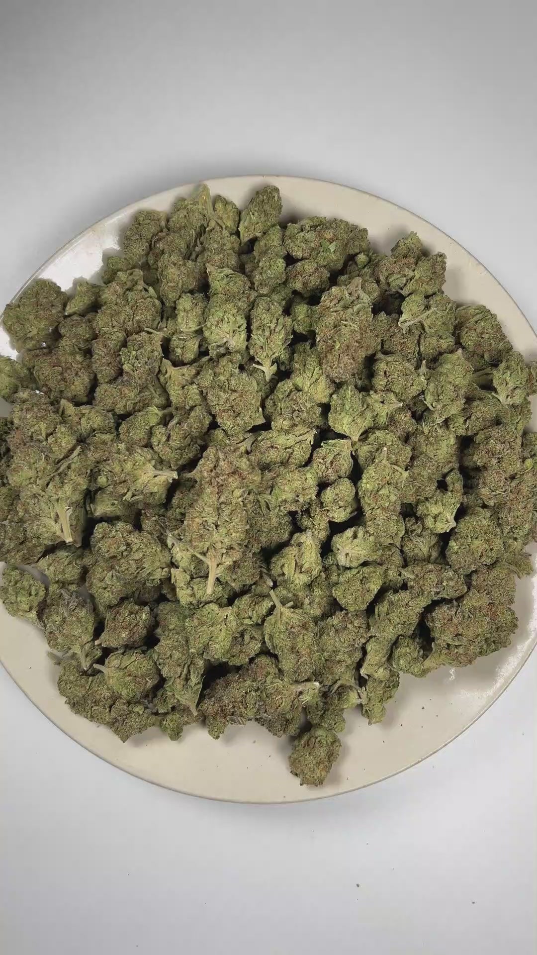 Governmint Oasis THCa Flower (Indoor) (Hybrid) – 3