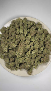 Governmint Oasis THCa Flower (Indoor) (Hybrid) – 3