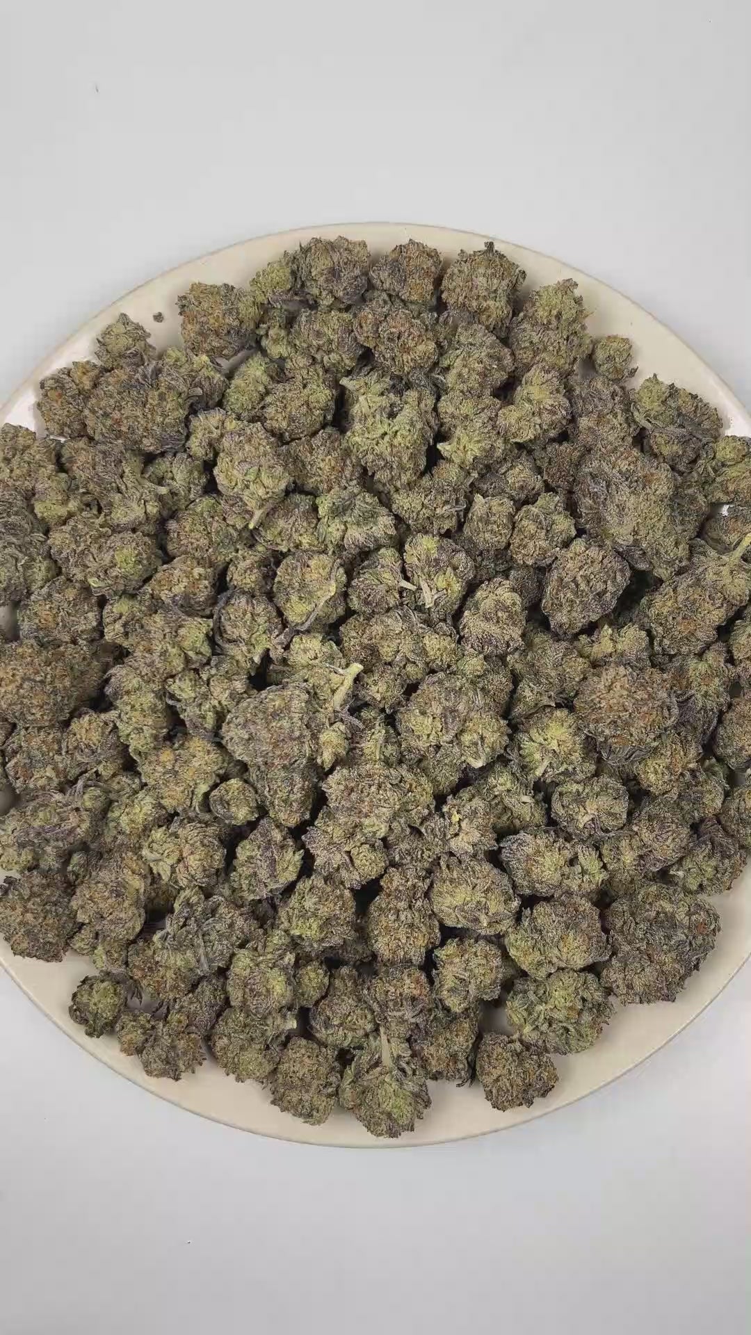 PUFFY Tiffany & OG is a balanced hybrid THCa strain, a masterful fusion of the legendary True OG and OG Kush lineage. The aroma opens with rich doughy notes layered with earthy herbal undertones and a warm woody finish. Visually, dense forest green buds with purple hues and fiery orange pistils are coated in sticky trichomes. Consumers often report a euphoric and uplifted mood accompanied by a gentle sense of physical ease and an alert, steady focus with improved mental clarity. 
