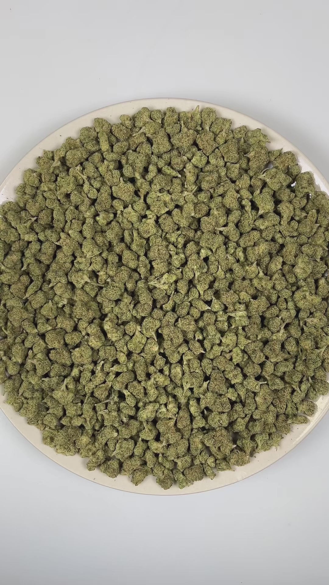 PUFFY Gelato 33 (smalls) is a balanced hybrid THCa strain bred from the exceptional pairing of Sunset Sherbet and Thin Mint GSC. The aroma bursts open with a bold fusion of fruity sweetness layered over gassy undertones and sharp chemical nuances. Visually, dense deep forest green buds with purple hues and fiery orange pistils are coated in sticky trichomes. Consumers often report euphoric, uplifting effects that promote mental clarity, elevate mood, ease stress, and enhance creativity and social interactio