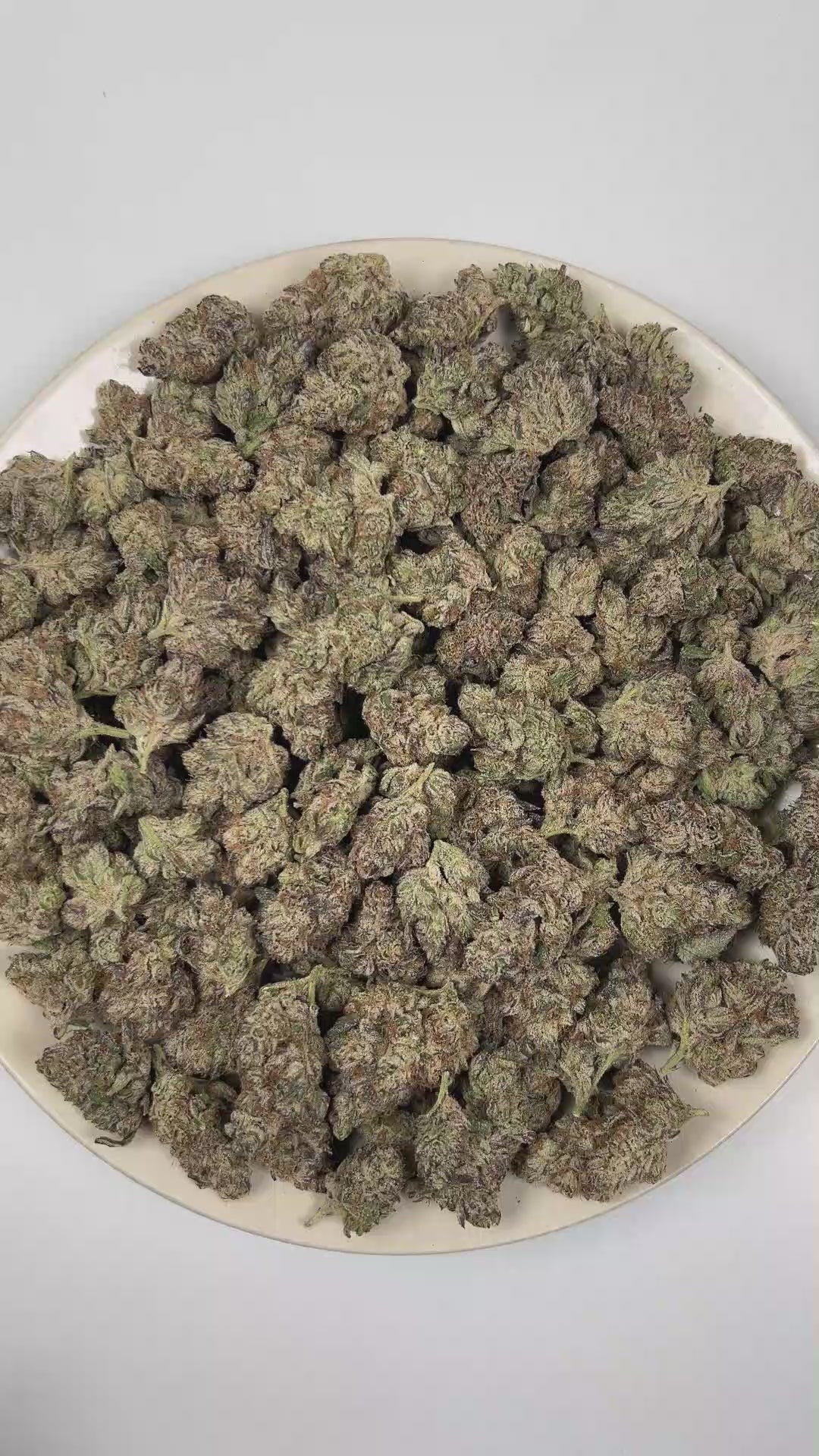 PUFFY First Class Funk is an indica-dominant hybrid THCa strain born from the distinguished cross of GMO × Jet Fuel Gelato. The aroma is defined by smoky intensity, burnt rubber sharpness, and deep musky undertones. Visually, dense deep forest green buds with purple hues and fiery orange pistils are coated in sticky trichomes. Consumers often report a deep, euphoric relaxation that gently washes over the body and mind, easing tension while promoting a calm, blissful state of ease.
