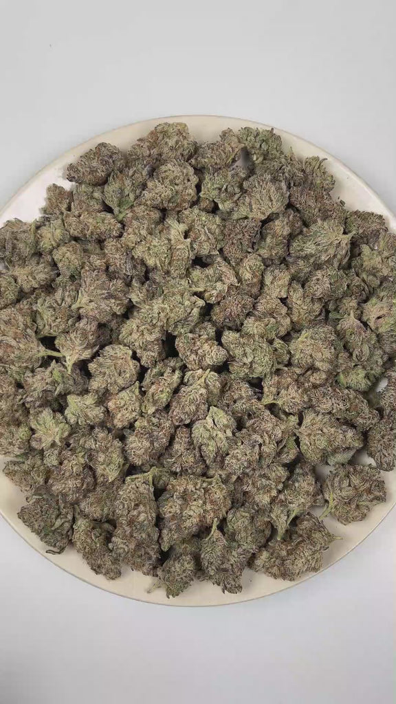 PUFFY First Class Funk is an indica-dominant hybrid THCa strain born from the distinguished cross of GMO × Jet Fuel Gelato. The aroma is defined by smoky intensity, burnt rubber sharpness, and deep musky undertones. Visually, dense deep forest green buds with purple hues and fiery orange pistils are coated in sticky trichomes. Consumers often report a deep, euphoric relaxation that gently washes over the body and mind, easing tension while promoting a calm, blissful state of ease.