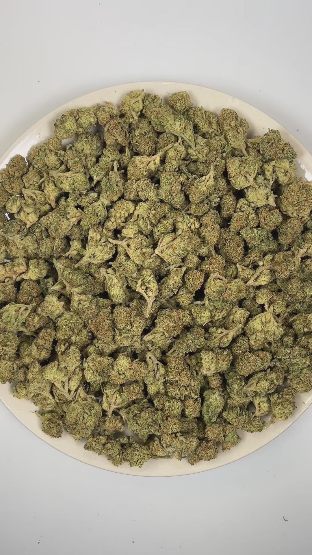 PUFFY Green Slime is a balanced hybrid THCa strain with an unverified and unofficially documented genetic lineage. The aroma is a vibrant blend of tropical fruit, crisp green apple, and sweet, candy-like notes that create a bright, fruity, and pleasantly sugary scent profile. Visually, dense forest green buds with purple hues and fiery orange pistils are coated in sticky trichomes. Consumers often report feelings of euphoria and elevated mood, accompanied by a gently relaxed body sensation and a mild boost 