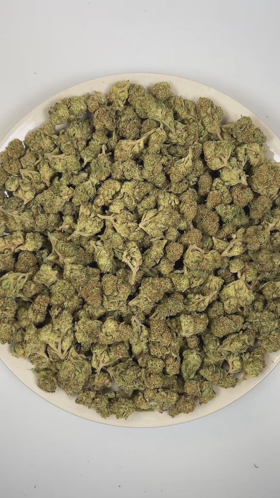 PUFFY Green Slime is a balanced hybrid THCa strain with an unverified and unofficially documented genetic lineage. The aroma is a vibrant blend of tropical fruit, crisp green apple, and sweet, candy-like notes that create a bright, fruity, and pleasantly sugary scent profile. Visually, dense forest green buds with purple hues and fiery orange pistils are coated in sticky trichomes. Consumers often report feelings of euphoria and elevated mood, accompanied by a gently relaxed body sensation and a mild boost 