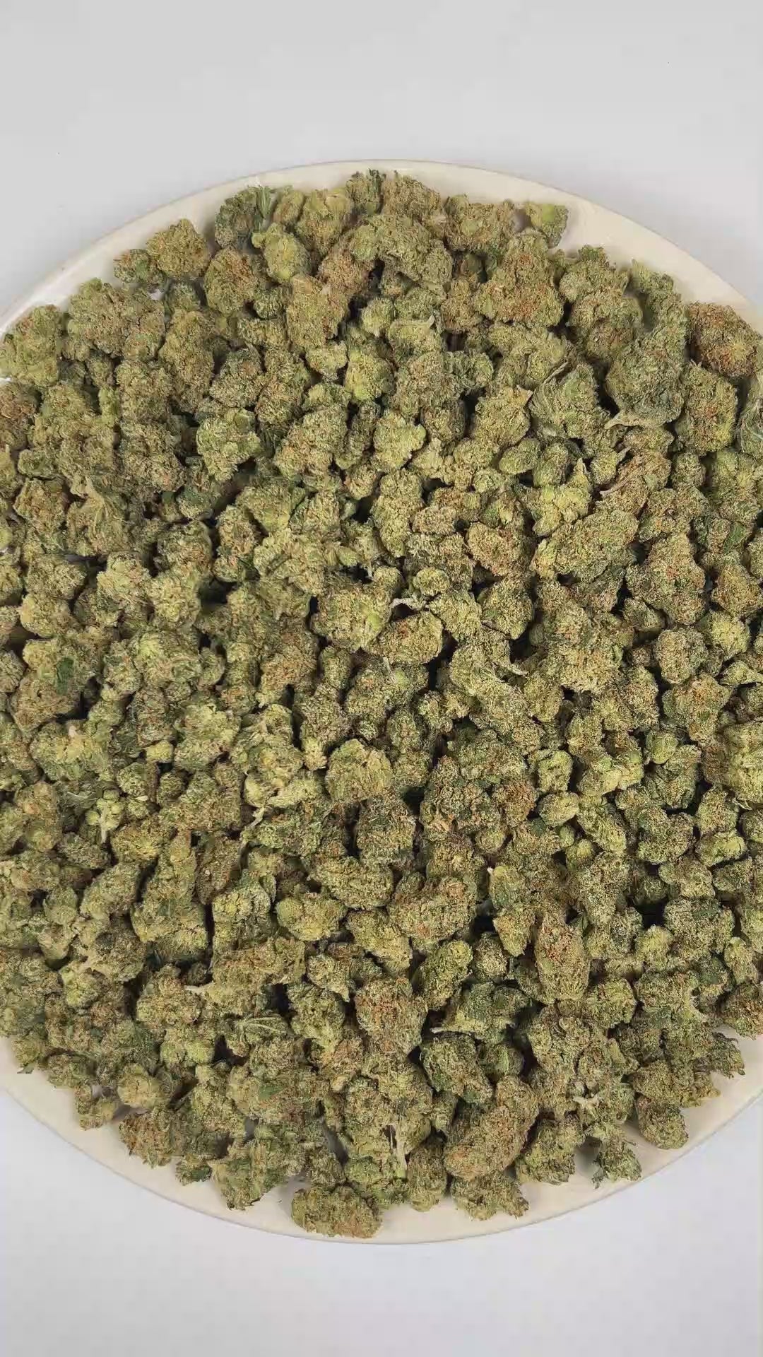 PUFFY Super Jack (smalls) is a sativa-dominant hybrid THCa strain, born from the legendary cross of Super Silver Haze and Jack Herer. The aroma is a bold, pungent fusion of fuel-like sharpness, zesty citrus brightness, and a distinct ammonia edge. Visually, dense forest green buds with purple hues and fiery orange pistils are coated in sticky trichomes. Consumers often report an euphoric, mentally clear, and energetic experience accompanied by enhanced creativity and an overall uplifted mood.