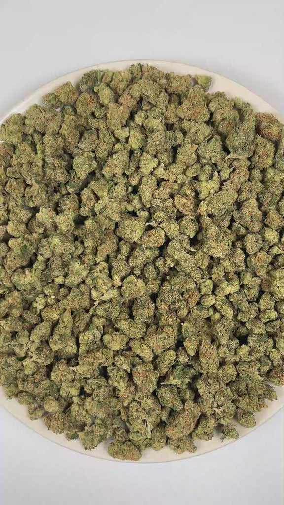 PUFFY Super Jack (smalls) is a sativa-dominant hybrid THCa strain, born from the legendary cross of Super Silver Haze and Jack Herer. The aroma is a bold, pungent fusion of fuel-like sharpness, zesty citrus brightness, and a distinct ammonia edge. Visually, dense forest green buds with purple hues and fiery orange pistils are coated in sticky trichomes. Consumers often report an euphoric, mentally clear, and energetic experience accompanied by enhanced creativity and an overall uplifted mood.