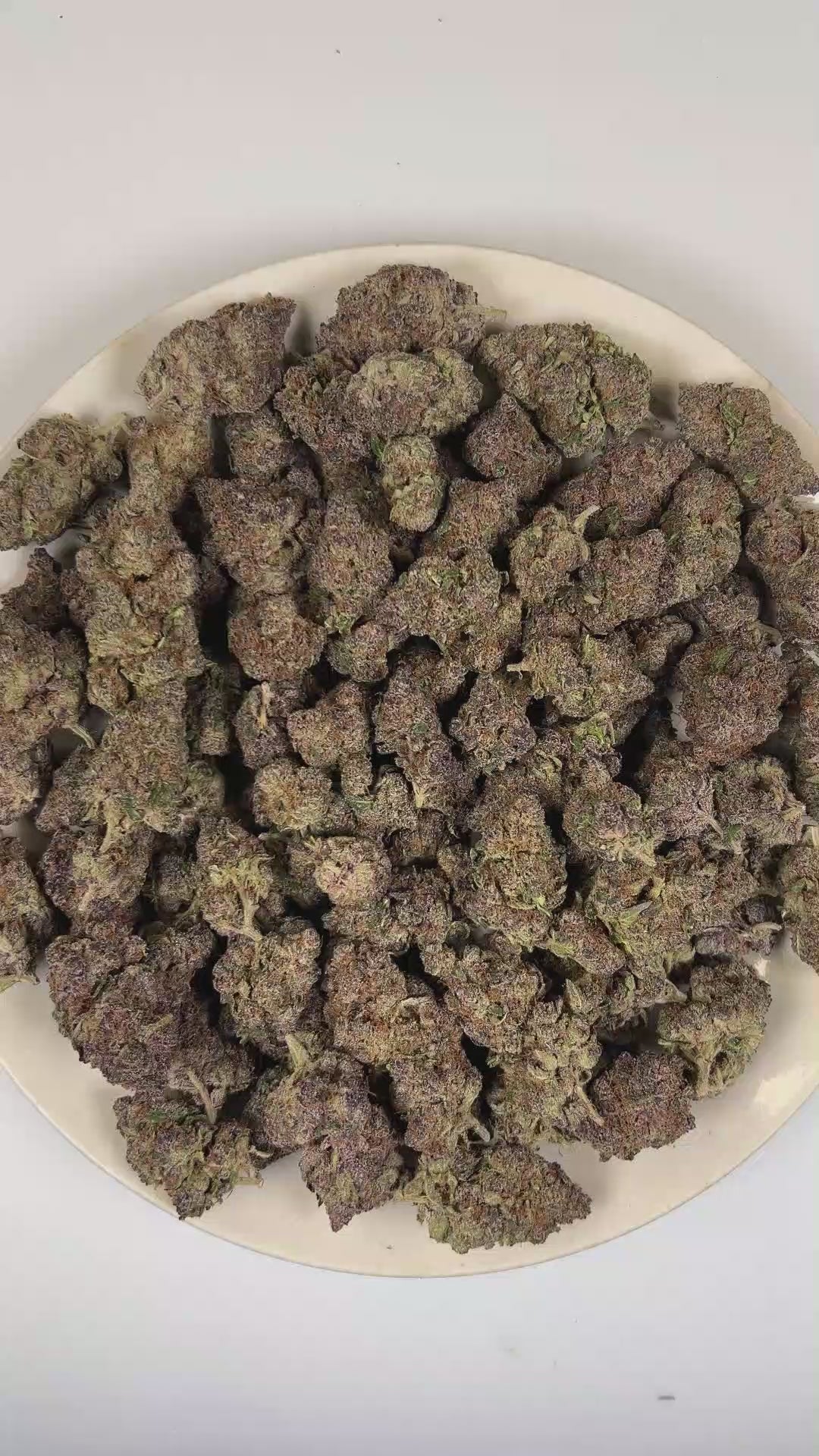 Orange Z THCa Flower (Premium Indoor) (Hybrid) | PUFFY