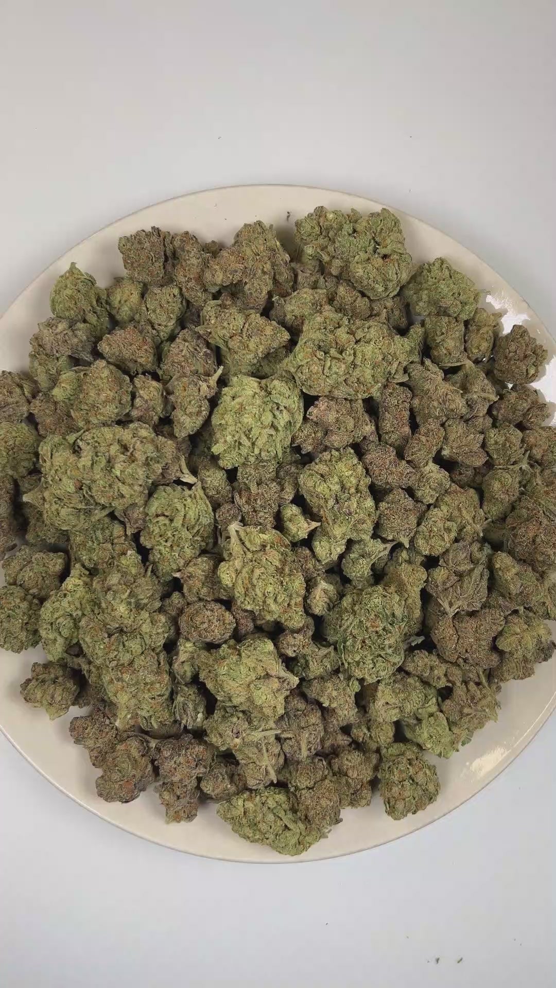 PUFFY Permanent Marker is an indica-dominant hybrid THCa strain, born from the complex cross of Biscotti, Jealousy, and Sherbet BX. The aroma opens with bright citrus notes before unfolding into bold diesel undertones and a pungent, gassy finish. Visually, dense forest green buds with purple hues and fiery orange pistils are coated in sticky trichomes. Consumers often report a blissful euphoria that uplifts the mood, sparks creativity, creates gentle tingling sensations, and envelops the body in deep, relax