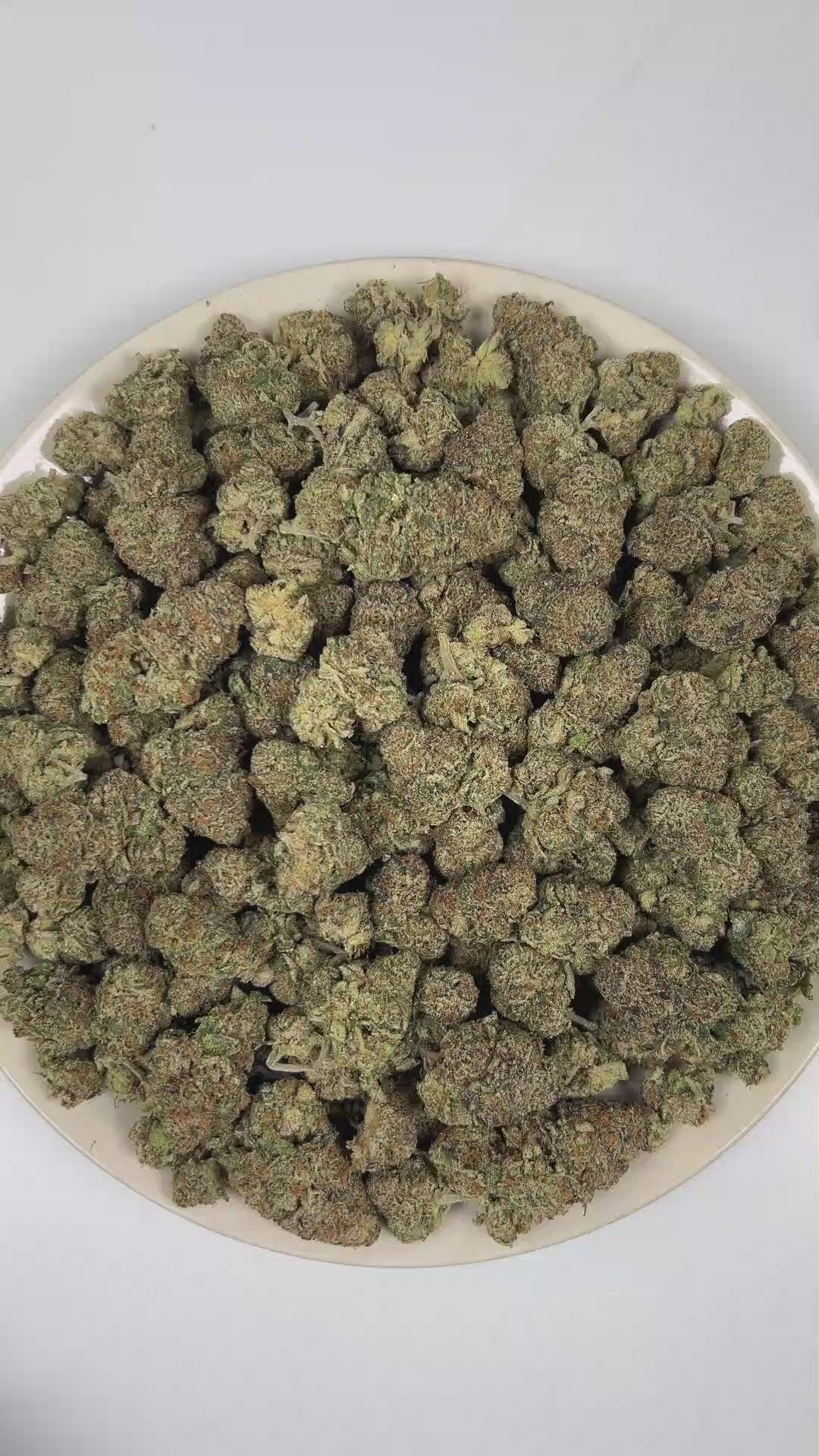 PUFFY Gelonade is a sativa-dominant hybrid THCa strain resulting from the expertly blended union of Lemon Tree with Gelato #41. The aroma is pungent, layered with gassy fuel notes and finished with a deep, funky earthy undertone. Visually, dense forest green buds with purple hues and fiery orange pistils are coated in sticky trichomes. Consumers often report a bright, uplifting experience with a clear-headed cerebral buzz that boosts creativity, focus, and sociability, all balanced by a gentle, calming body