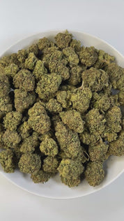 PUFFY Gelato 47 is a hybrid THCa strain, born from the legendary cross of Thin Mint Girl Scout Cookies and Sunset Sherbet. The aroma exudes refined diesel undertones, elegantly balanced by a refreshing hint of mint and a velvety layer of sweet cream. Visually, the buds impress with their compact structure, showcasing deep shades of purple and jade intertwined with bright pistils and a glittering blanket of trichomes. Consumers often report an invigorating cerebral lift that sparks creativity and euphoria, f