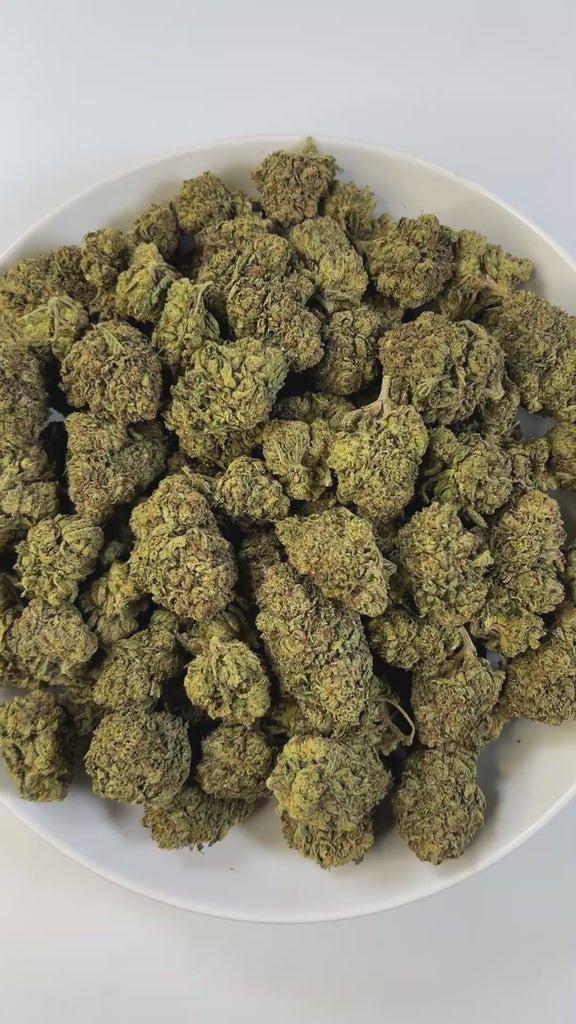 PUFFY Gelato 47 is a hybrid THCa strain, born from the legendary cross of Thin Mint Girl Scout Cookies and Sunset Sherbet. The aroma exudes refined diesel undertones, elegantly balanced by a refreshing hint of mint and a velvety layer of sweet cream. Visually, the buds impress with their compact structure, showcasing deep shades of purple and jade intertwined with bright pistils and a glittering blanket of trichomes. Consumers often report an invigorating cerebral lift that sparks creativity and euphoria, f