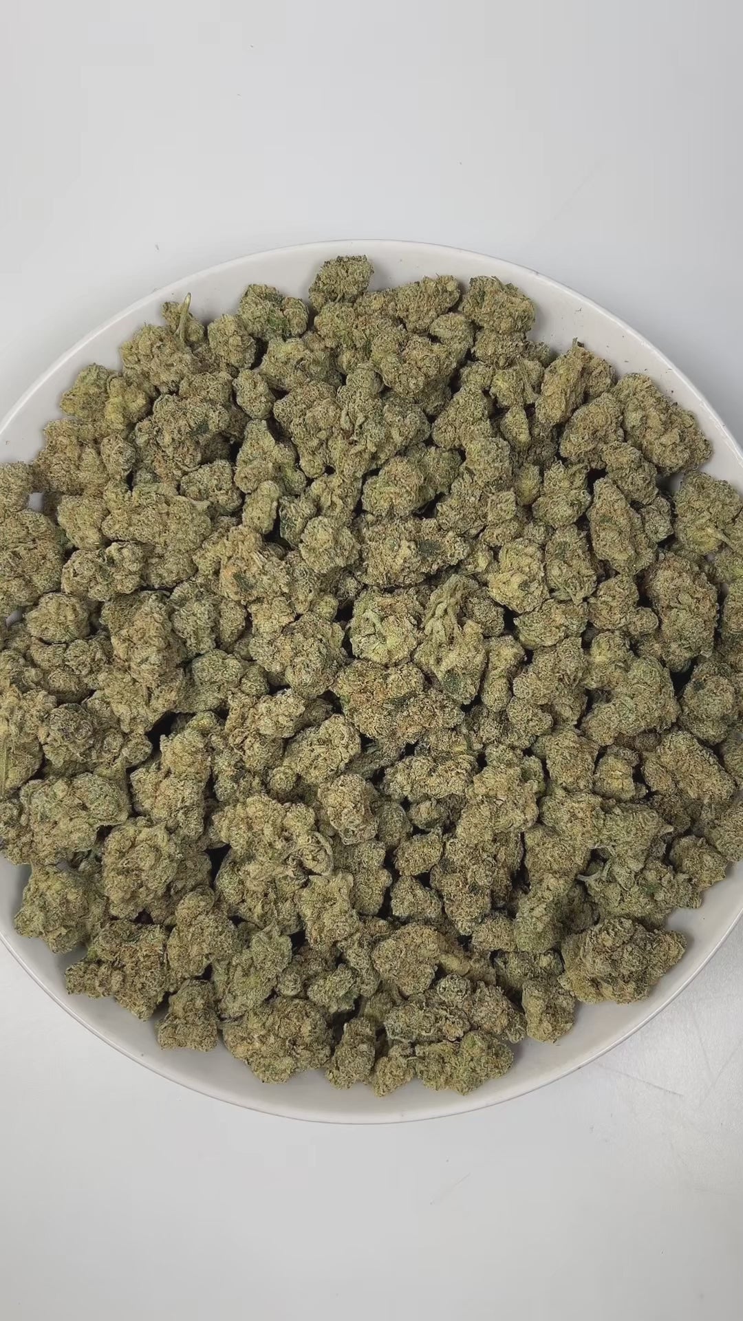 PUFFY Cherry Rage is a balanced hybrid THCa strain, born from the renowned fusion of Super Buff Cherry and Kut Throat Kandy. The aroma opens with a bold gassy punch layered with ripe cherry sweetness and a nostalgic candy-like finish that lingers pleasantly on the nose. Visually, dense green buds with hints of purple are threaded with fiery orange pistils and coated in a sparkling layer of sticky trichomes. Consumers often report a happy, euphoric head high that elevates mood and gradually melts into a rela