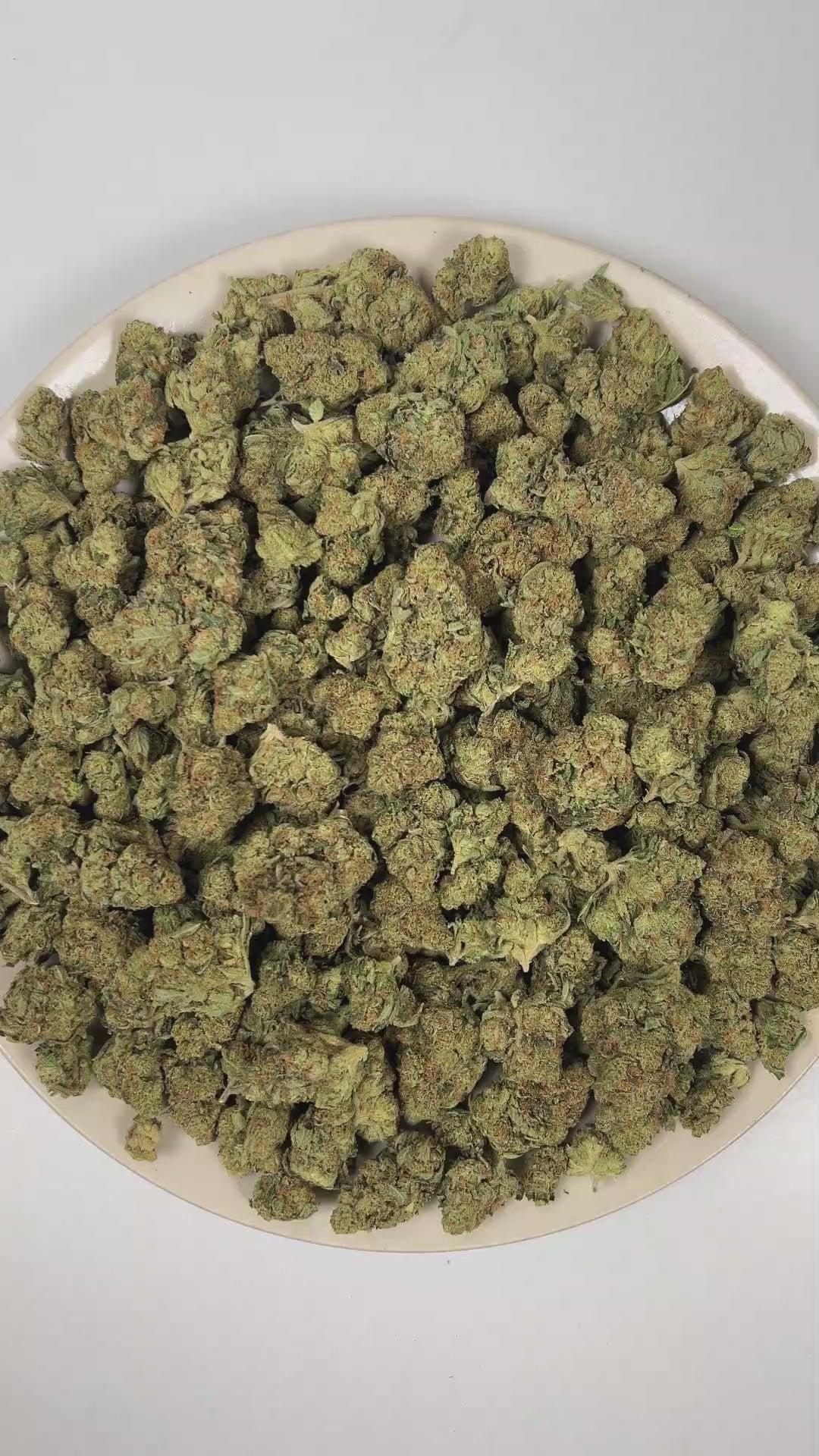 PUFFY Northern Lights is a pure indica THCa strain rooted in the exceptional lineage of Afghani indica and Thai sativa. The aroma opens with sharp pine, unfolds into deep woody undertones, and finishes with a bold gassy edge. Visually, dense deep forest green buds with purple hues and fiery orange pistils are coated in sticky trichomes. Consumers often report an euphoric uplift accompanied by deep body relaxation, a calm mental state, and a significant easing of stress. 