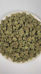 PUFFY Northern Lights is a pure indica THCa strain rooted in the exceptional lineage of Afghani indica and Thai sativa. The aroma opens with sharp pine, unfolds into deep woody undertones, and finishes with a bold gassy edge. Visually, dense deep forest green buds with purple hues and fiery orange pistils are coated in sticky trichomes. Consumers often report an euphoric uplift accompanied by deep body relaxation, a calm mental state, and a significant easing of stress. 