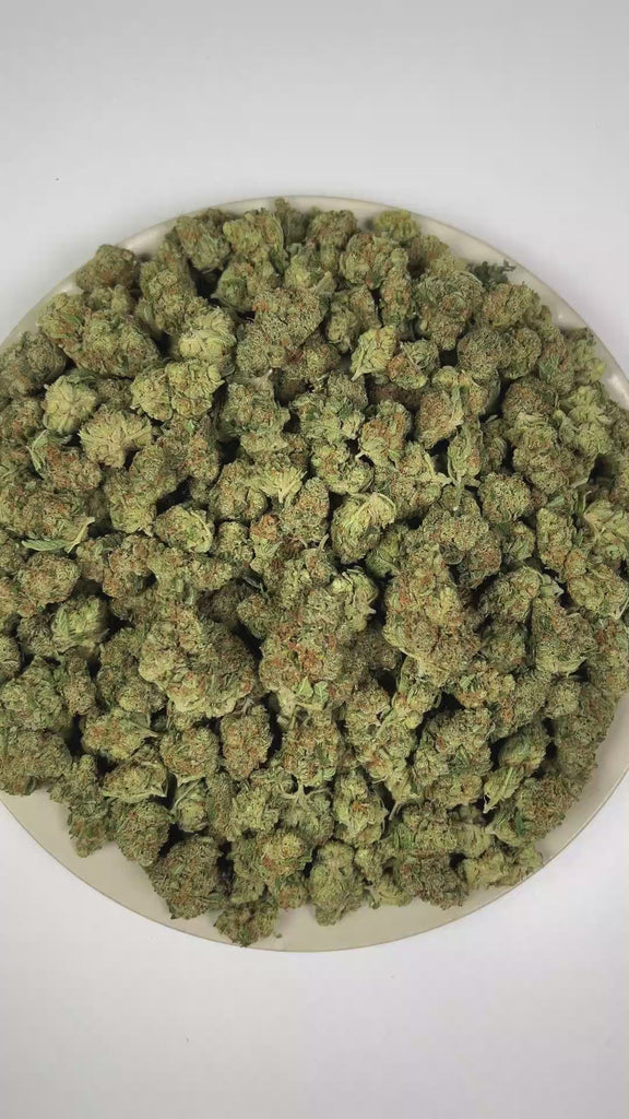 PUFFY Creamsicle is a sativa-dominant hybrid THCa strain, born from the flavorful cross of Orange Crush and Juicy Fruit. The aroma features a vibrant blend of zesty orange, tropical fruit notes, and a tangy sour twist. Visually, the buds are compact and resinous, showcasing vibrant green hues intertwined with fiery orange pistils and a shimmering layer of frosty trichomes. Consumers often report feeling euphoric and uplifted, with energizing effects that promote focus and a gentle sense of relaxation.