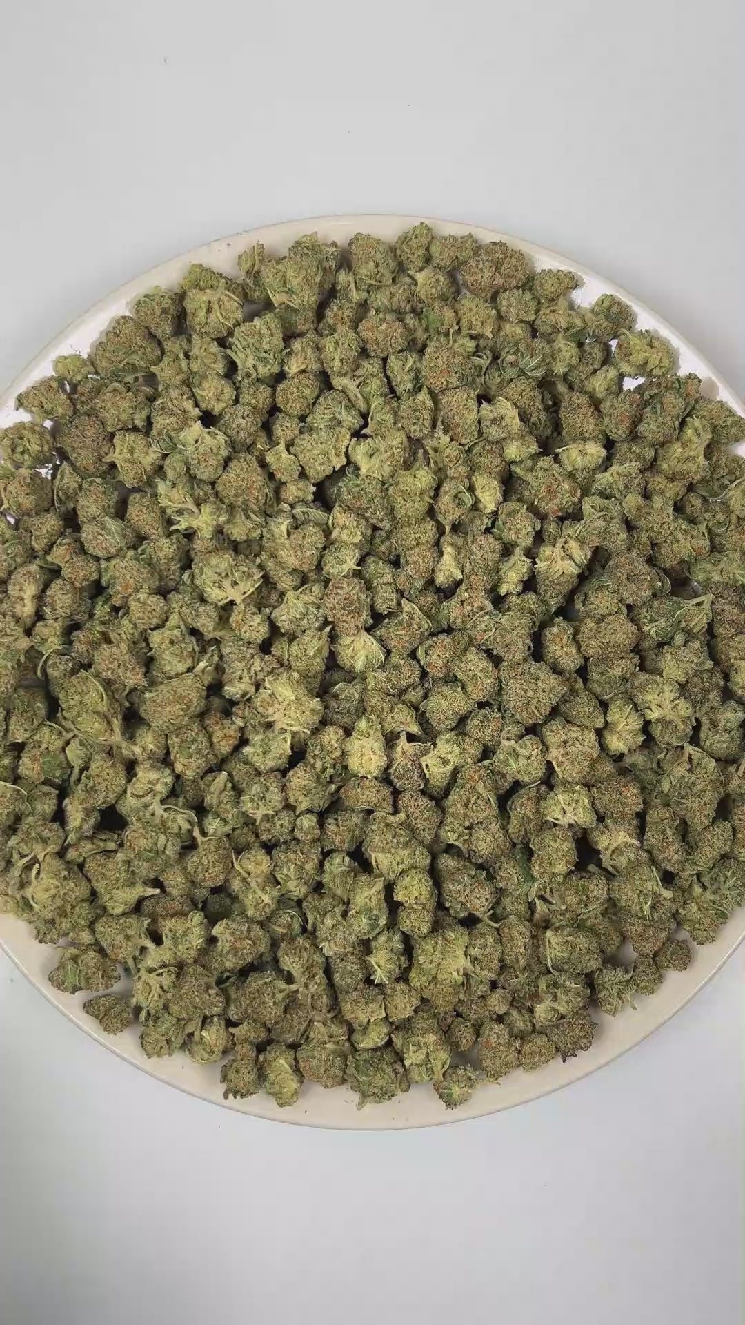 PUFFY Gas Runtz (smalls) is a balanced hybrid THCa strain born from the strategic combination of Runtz and Gas House OG. The aroma delivers a rich blend of sweet grape candy layered with pungent gassy undertones. Visually, dense forest green buds with hints of purple are threaded with fiery orange pistils and coated in a sparkling layer of sticky trichomes. Consumers often report that it delivers a euphoric, uplifting head high followed by smooth full-body relaxation, creating a balanced experience that fee