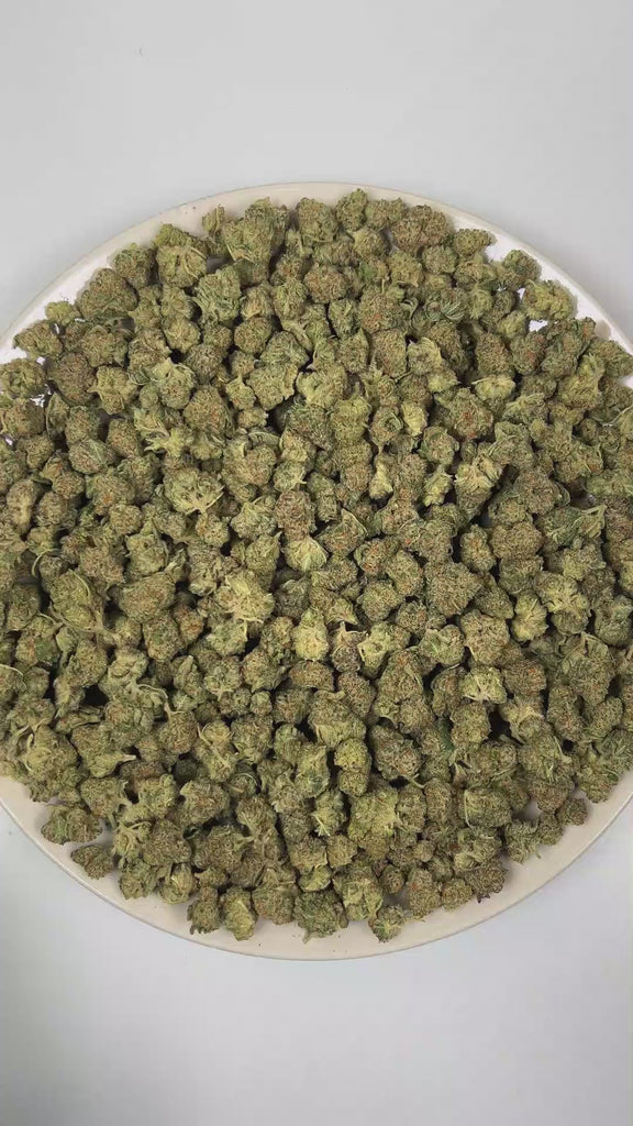 PUFFY Gas Runtz (smalls) is a balanced hybrid THCa strain born from the strategic combination of Runtz and Gas House OG. The aroma delivers a rich blend of sweet grape candy layered with pungent gassy undertones. Visually, dense forest green buds with hints of purple are threaded with fiery orange pistils and coated in a sparkling layer of sticky trichomes. Consumers often report that it delivers a euphoric, uplifting head high followed by smooth full-body relaxation, creating a balanced experience that fee