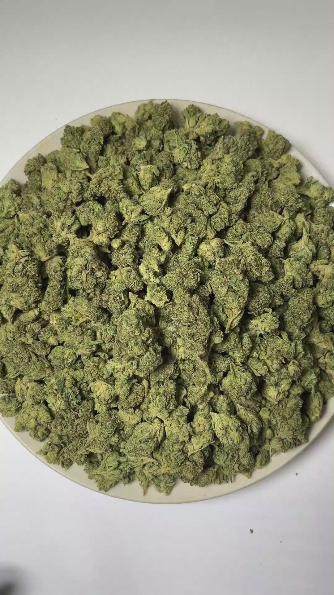 PUFFY Sticky Glue is a balanced hybrid THCa strain carefully crafted through the iconic cross of Original Glue and Gorilla Glue. The aroma is dominated by pungent diesel and fuel notes, complemented by a distinct gassy character. Visually, dense forest green buds with purple hues and fiery orange pistils are coated in sticky trichomes. Consumers often report a balanced wave of euphoria alongside sharpened focus, lively energy, and an uplifting state of mind.