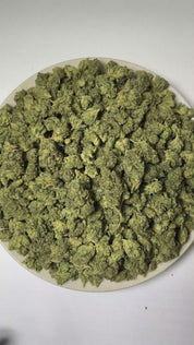 PUFFY Sticky Glue is a balanced hybrid THCa strain carefully crafted through the iconic cross of Original Glue and Gorilla Glue. The aroma is dominated by pungent diesel and fuel notes, complemented by a distinct gassy character. Visually, dense forest green buds with purple hues and fiery orange pistils are coated in sticky trichomes. Consumers often report a balanced wave of euphoria alongside sharpened focus, lively energy, and an uplifting state of mind.
