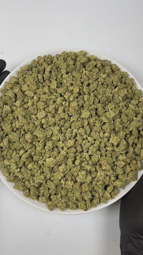 PUFFY Watermelon (smalls) is an indica-dominant hybrid THCa strain, bred from the renowned cross of Watermelon x Kush genetics. The aroma greets the senses with sweet, juicy melon notes, layered over a rich earthy base and accented by sharp, pungent undertones. Visually, the buds are thick and well-formed, showcasing dark green tones with streaks of purple, fiery orange pistils, and a sparkling coat of trichomes. Consumers often describe a calming, full-bodied high that lifts the mood while easing tension, 