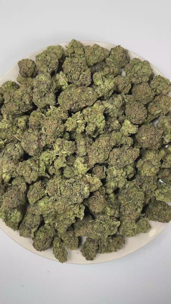 PUFFY Gas & Glue is a balanced hybrid THCa strain born from the powerhouse genetics of The White, Girl Scout Cookies, and GG4. The aroma opens with bold gassy notes, layered with pungent fuel undertones and finished by a rich, earthy tobacco character. Visually, dense forest green buds with purple hues and fiery orange pistils are coated in sticky trichomes. Consumers often report a euphoric, soothing sensation, accompanied by a balanced blend of cerebral uplift and full-body relaxation that leaves them fee