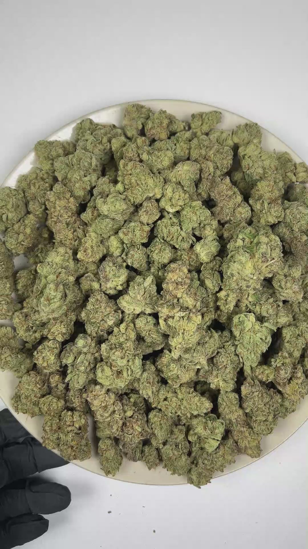 PUFFY Jedi Kush is a lush indica THCa strain crafted from the legendary lineage of Death Star and SFV OG Kush. The aroma is rich with pungent fuel notes, delicate floral nuances, and a distinctive kush character. Visually, dense deep forest green buds with purple hues and fiery orange pistils are coated in sticky trichomes. Consumers often report a euphoric and uplifting experience complemented by creative energy, focused clarity, and a relaxed sense of ease.